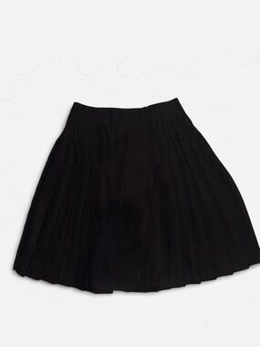 The Limited Black Circle Skirt - Pleated A-Line